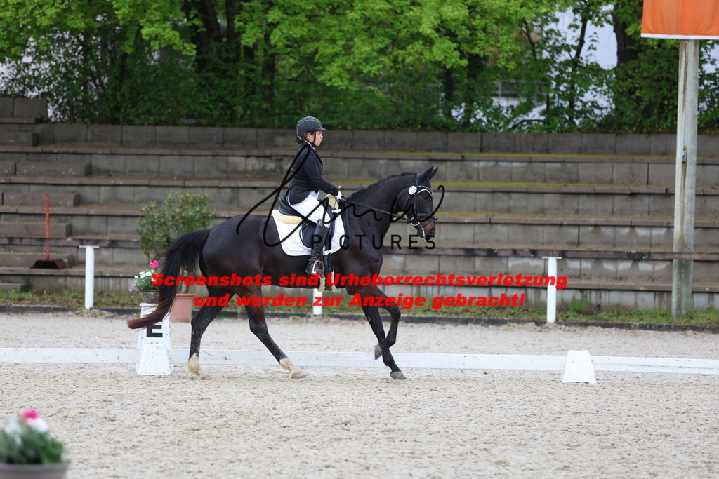 A40A9456 | lmwpictures - Realisiert mit Pictrs.com