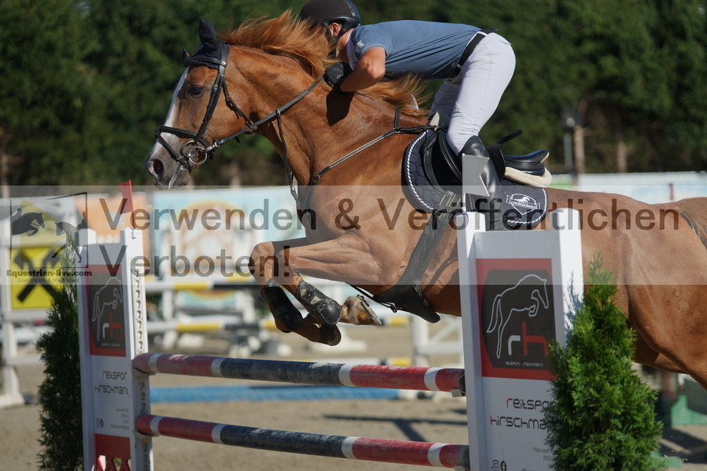 DSC01179 | equestrian-live-com