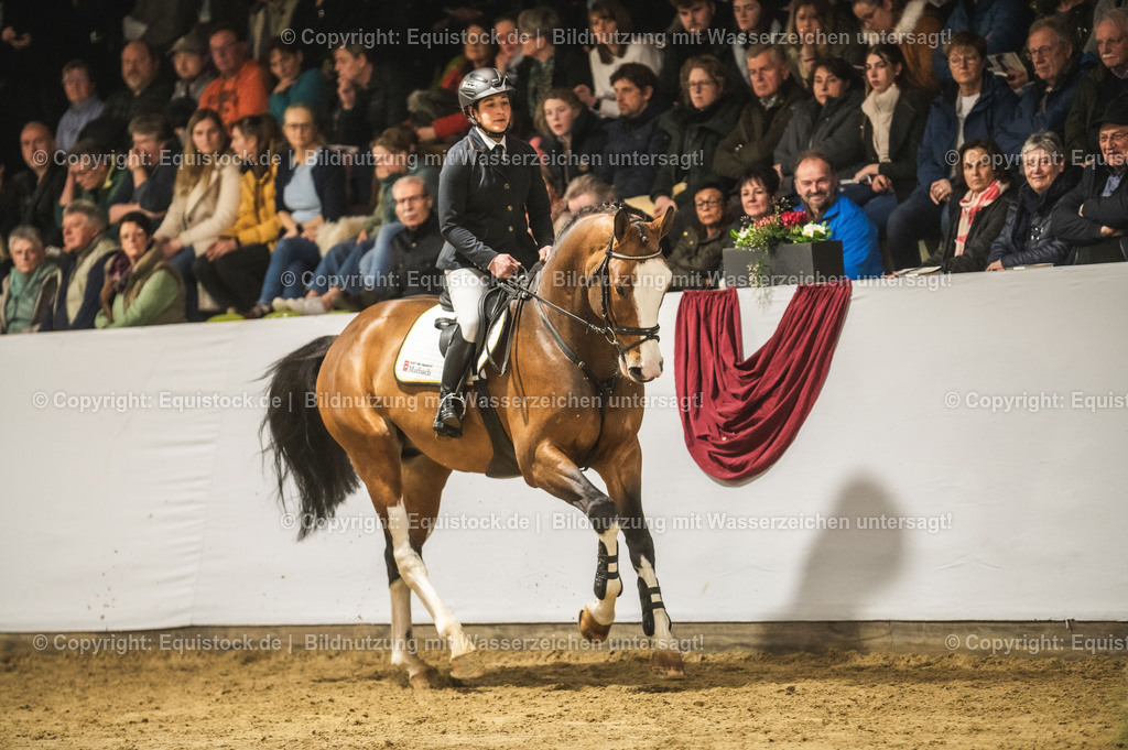 20240302_Hengstvorstellung_Marbach_TOMsPiC_0491-2 | equistock