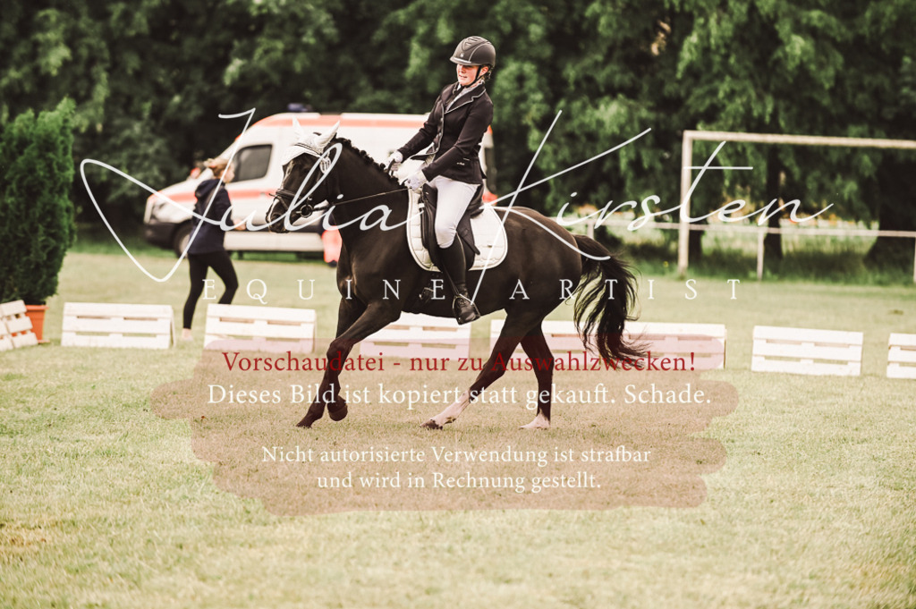 DSC_4832 | Pferde- und Turnierfotografie in Westsachsen. Pferdeportraits, Auftragszeichnungen und intuitive Kunst.
