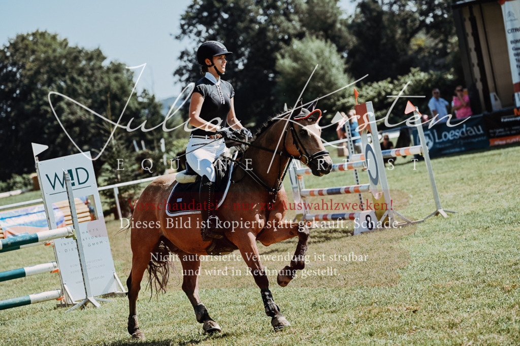 DSC_6024 | Pferde- und Turnierfotografie in Westsachsen. Pferdeportraits, Auftragszeichnungen und intuitive Kunst.