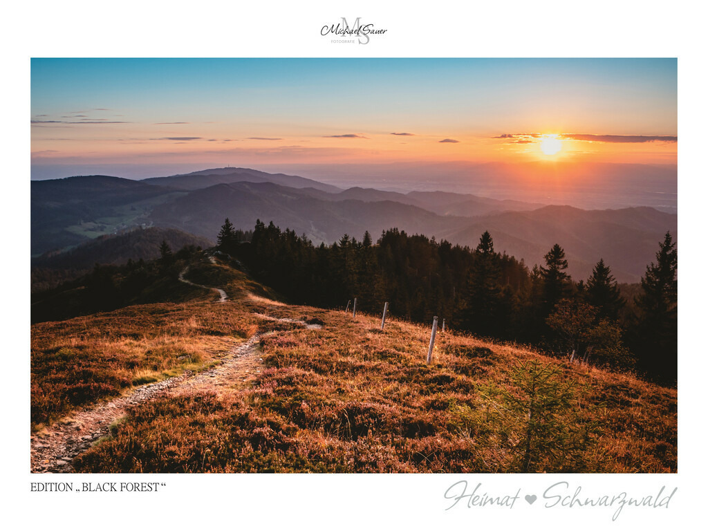 Edition "BLACK FOREST" | Motiv: Blick vom Gipfel des Belchen, Südschwarzwald. Die beliebtesten Fotografien aus dem Schwarzwald als signierte Sonderedition. Eine exklusive Wanddekoration für alle Liebhaber von traumhaften Schwarzwaldlandschaften. Hochwertige Wandbilder in brillanter Druckqualität auf Acrylglas, Alu-Dibond und Leinwand für Ihr Zuhause – inklusive rückseitige Aufhängung.
 - Realisiert mit Pictrs.com