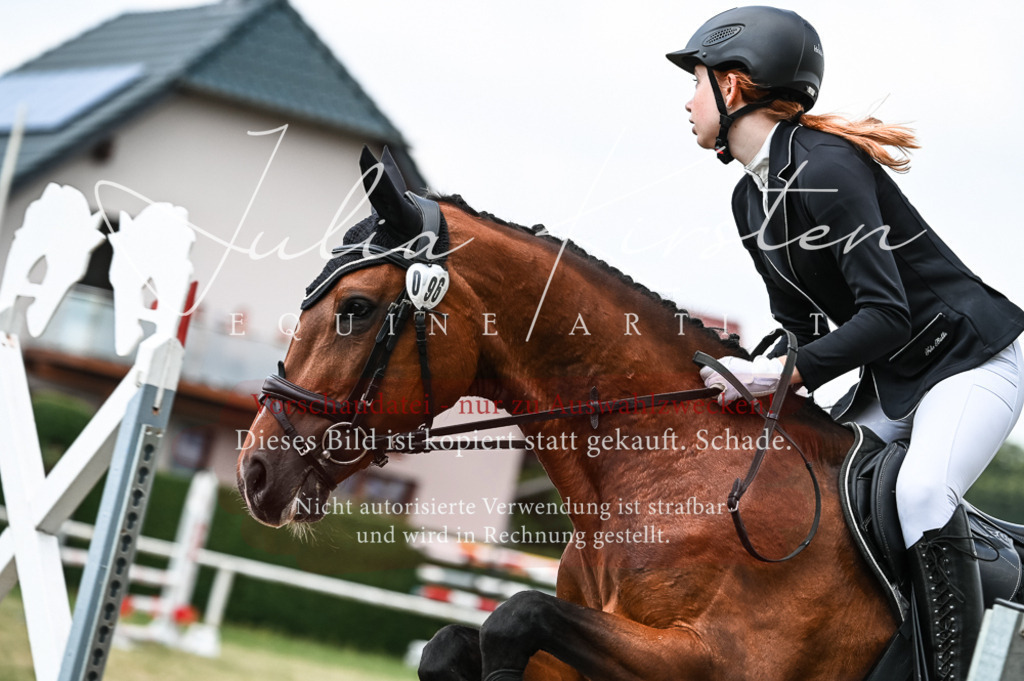 DSC_9023 | Pferde- und Turnierfotografie in Westsachsen. Pferdeportraits, Auftragszeichnungen und intuitive Kunst.