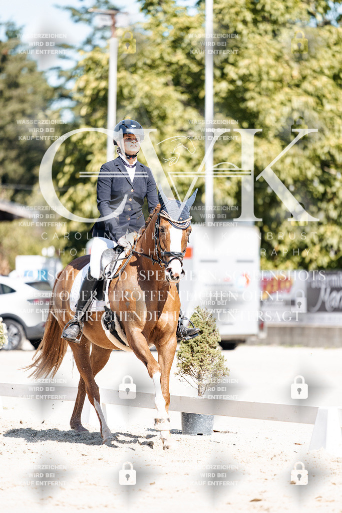 CK909215 | Turnierfotografie Pferdefotografie Trier Rheinland-Pfalz Pferdesport Reitsport Tierfotografie Sportfotografie Pferdevideo Pferdevideografie Equestrianvideography equestrianphotography  - Realisiert mit Pictrs.com