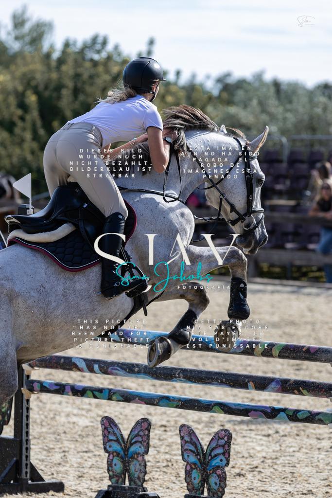 IMG_0630 | s-jay-photography - Realisiert mit Pictrs.com