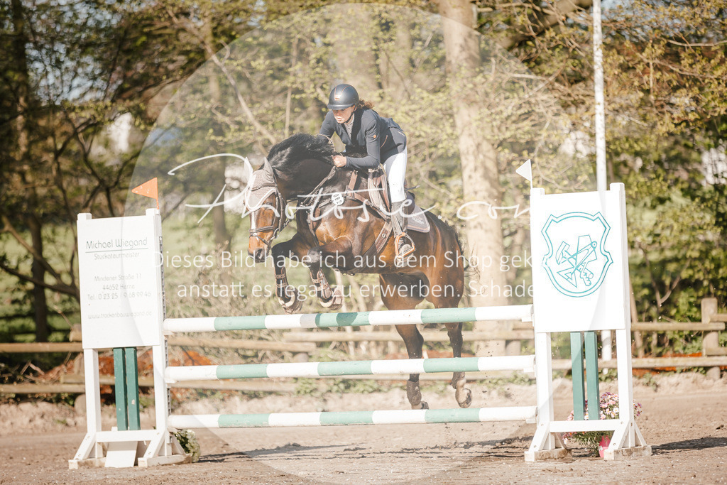3I6A3535 | Stimmungsvolle Portraits und Reitsportfotografie im Ruhrgebiet und im Münsterland.

Pferdefotografie, Hundefotografie, Tierfotografie, Reportagen, Portraits von Tier und Mensch, Turnierfotografie in Bochum, Recklinghausen, Marl, Haltern am See, Dülmen.. - Realisiert mit Pictrs.com