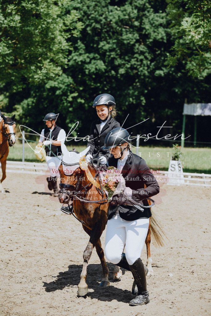 DSC_2699 | Pferde- und Turnierfotografie in Westsachsen. Pferdeportraits, Auftragszeichnungen und intuitive Kunst.