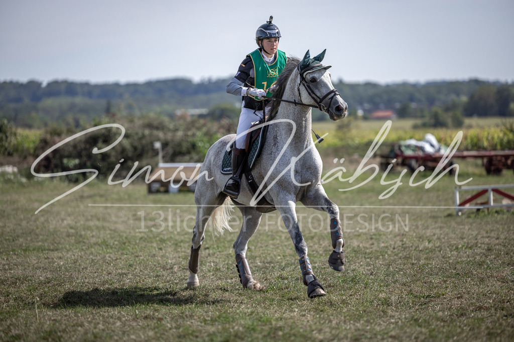 20250907-_3LI1692 | Tierfotografie Pferde, Hunde, Katzen, Haustiere.
Turnierfotografie Reitturniere, Reiten, Springreiten, Dressur in Hanau, dem Main-Kinzig-Kreis und dem Rhein-Main- Gebiet um Frankfurt