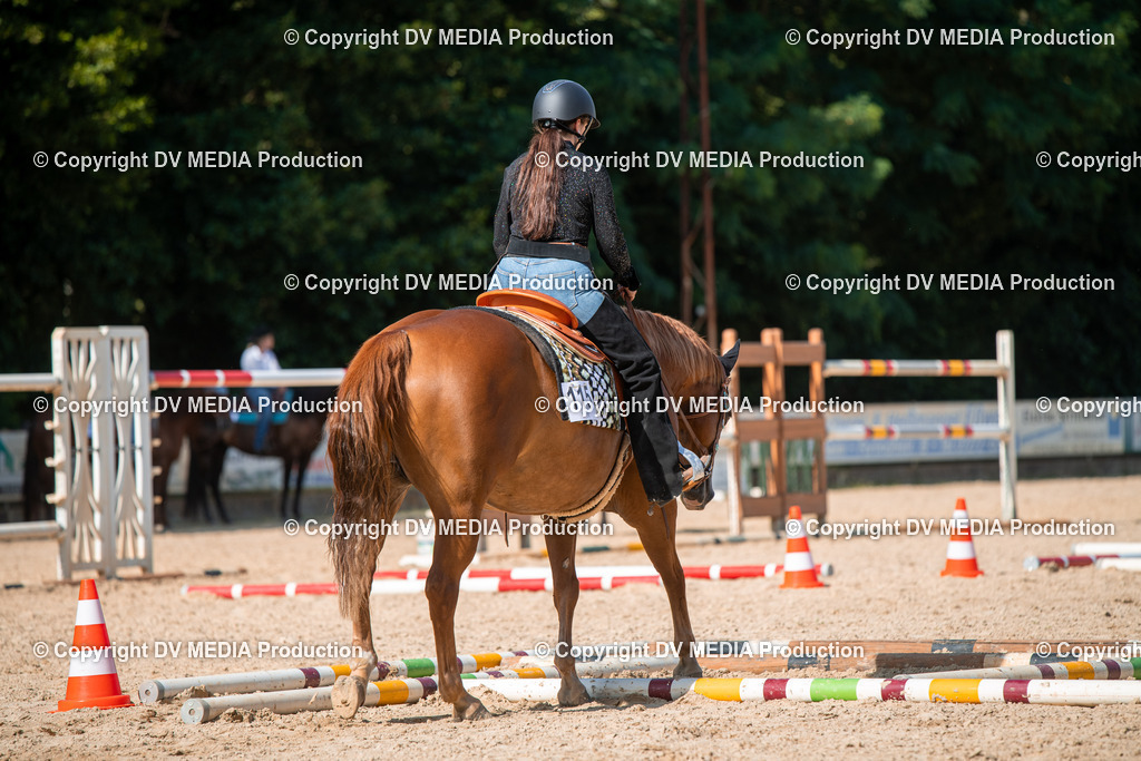 EWP_6936 | dv-media-shop - Realisiert mit Pictrs.com