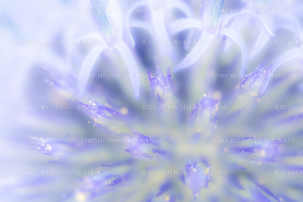 Markus Gerigk_3 | Martini & Gerigk - Realisiert mit Pictrs.com