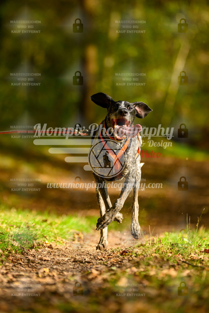 MompixPhotography_20TSB_E1_DS1-36 | PayLife