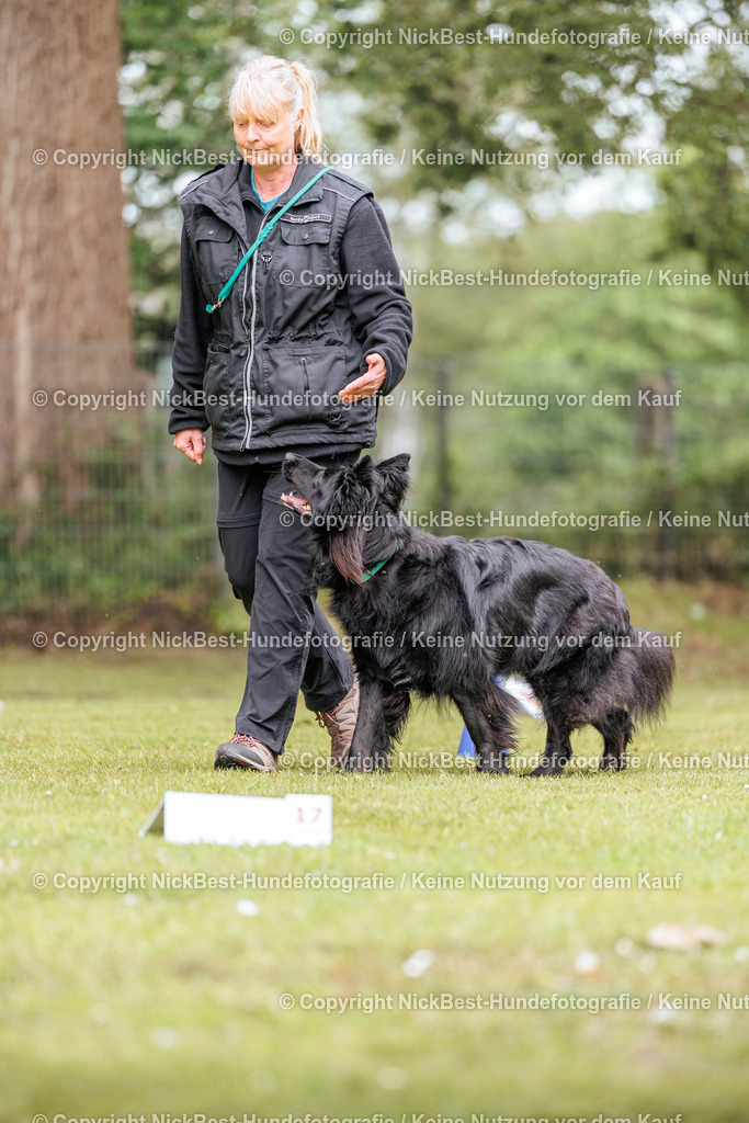 RO-Blumenthal-2026-Nickbest-Hundefotografie-3256 | Dein Hund! Dein Moment! Deine Erinnerungen! Hundefotografie in Bremen Blumenthal. Ich fange die besonderen Momente deines Vierbeiners ein – ob Indoor mit Blitzanlage oder in der freien Natur. Sicher dir dein Moment und dein Termin für eure Erinnerungen.