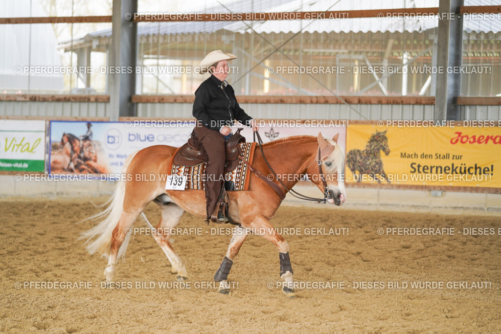 DSC01741 | Pferdegrafie