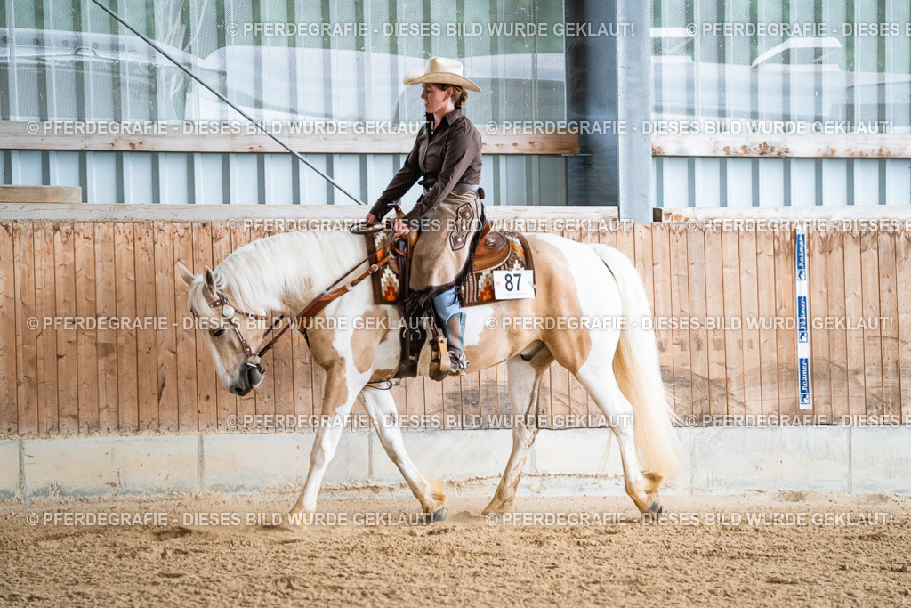 DSC09874 | Pferdegrafie