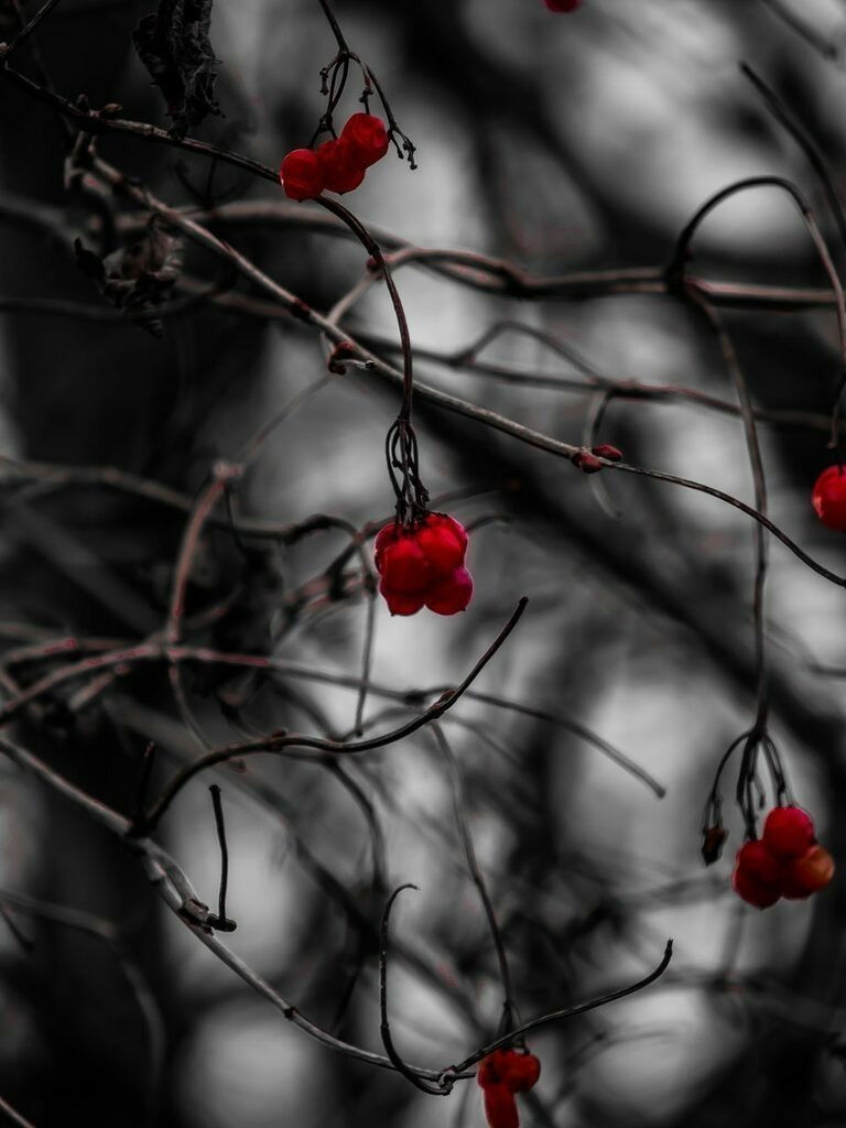 PSX_20230102_224355 | mtkfoto_ - Realisiert mit Pictrs.com