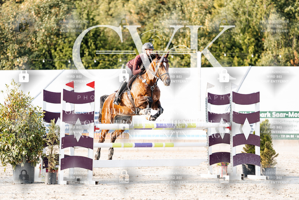 CK903560 | Turnierfotografie Pferdefotografie Trier Rheinland-Pfalz Pferdesport Reitsport Tierfotografie Sportfotografie Pferdevideo Pferdevideografie Equestrianvideography equestrianphotography  - Realisiert mit Pictrs.com