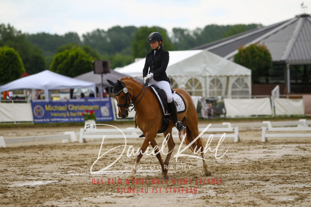 DKP40182 | Turniersportfotografie; Pferdefotografie; Dressurfotografie