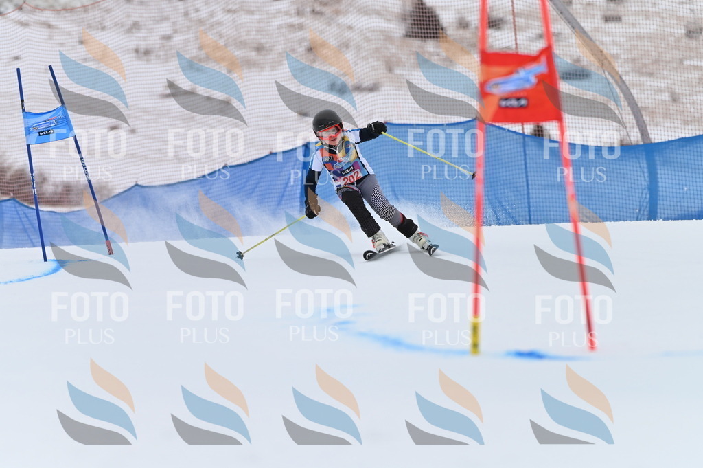 BGV_1968 | holidayphoto