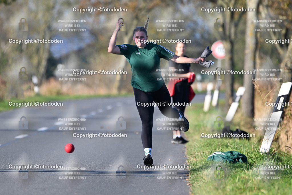 DSC_3125 | Tomke Ripken / Utarp-Schweindorf