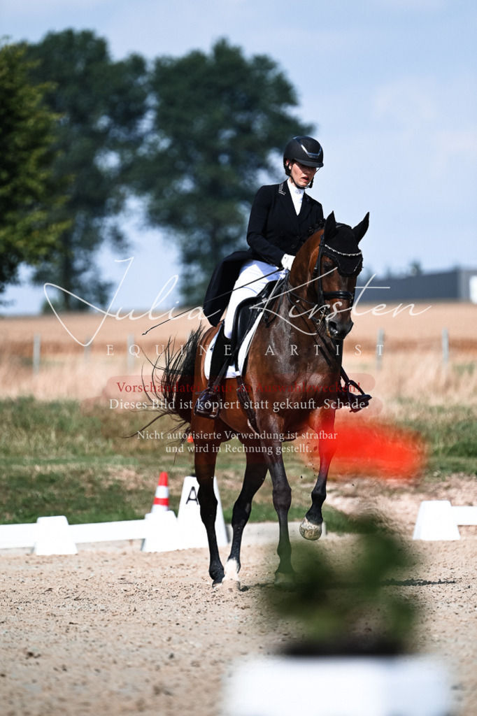 DSC_3083 | Pferde- und Turnierfotografie in Westsachsen. Pferdeportraits, Auftragszeichnungen und intuitive Kunst.
