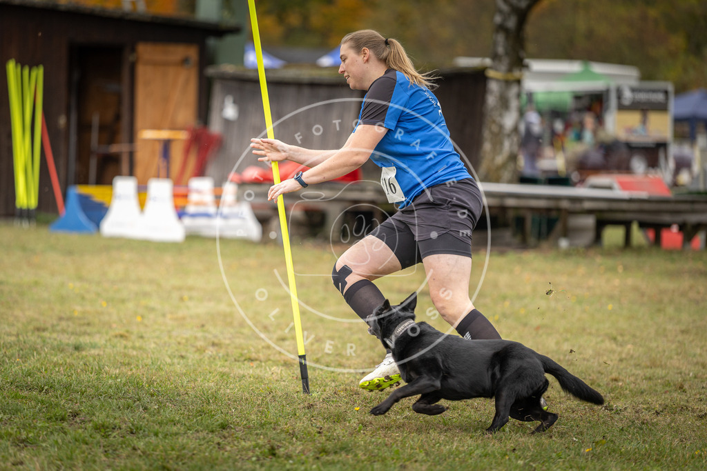 Pfotenfotografie_DV3A7401 | Hundefotografie, Tierfotograf, Pfotenfotografie, Fotoshooting Hund, Hunde Portrait, Hundesport, Hundeportraits, Heideshooting, Hunde, Sportfotograf, Hundefotograf, Turnierhundsport, THS,  - Realisiert mit Pictrs.com