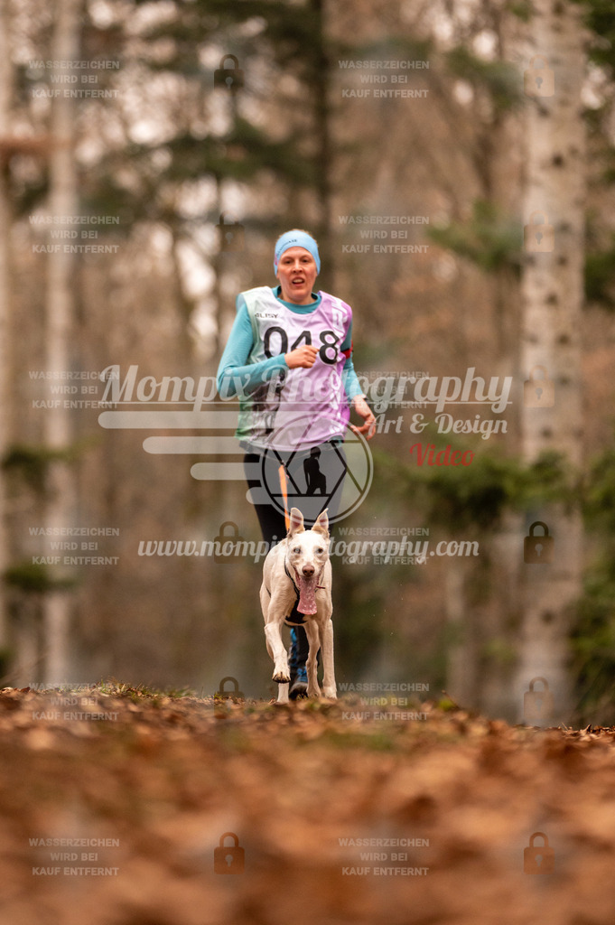 AKM_ST_2023_SAM_Run-115 | PayLife