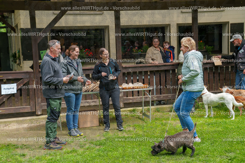@allesWIRTHgut_Tierfotografie - www.allesWIRTHgut.de - 7R506027 | Professionelle Tierfotografie in Mönchengladbach von Daniel Wirth (allesWIRTHgut). Liebevolle & natürliche Bilder von Hunden & Katzen für unvergessliche Erinnerungen.
