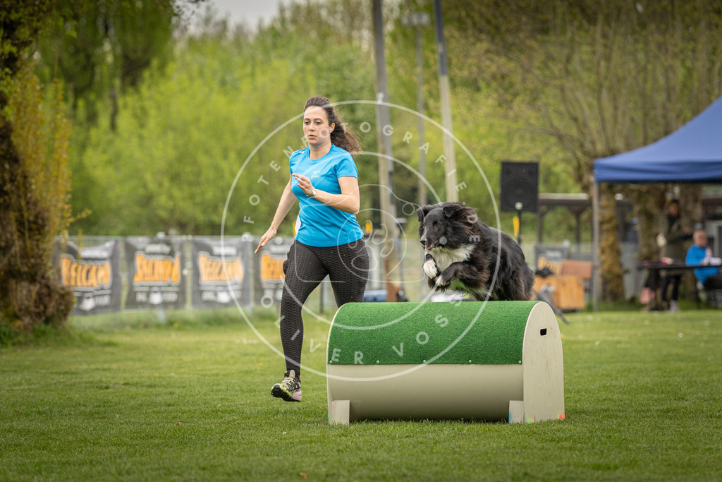 Pfotenfotografie_DV3A2896 | Hundefotografie, Tierfotograf, Pfotenfotografie, Fotoshooting Hund, Hunde Portrait, Hundesport, Hundeportraits, Heideshooting, Hunde, Sportfotograf, Hundefotograf, Turnierhundsport, THS,  - Realisiert mit Pictrs.com