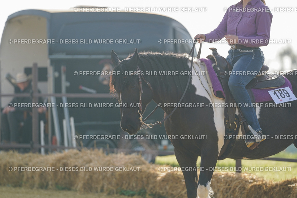 DSC00246 | Pferdegrafie