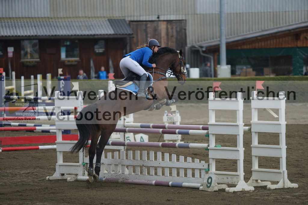 DSC00974 | equestrian-live-com