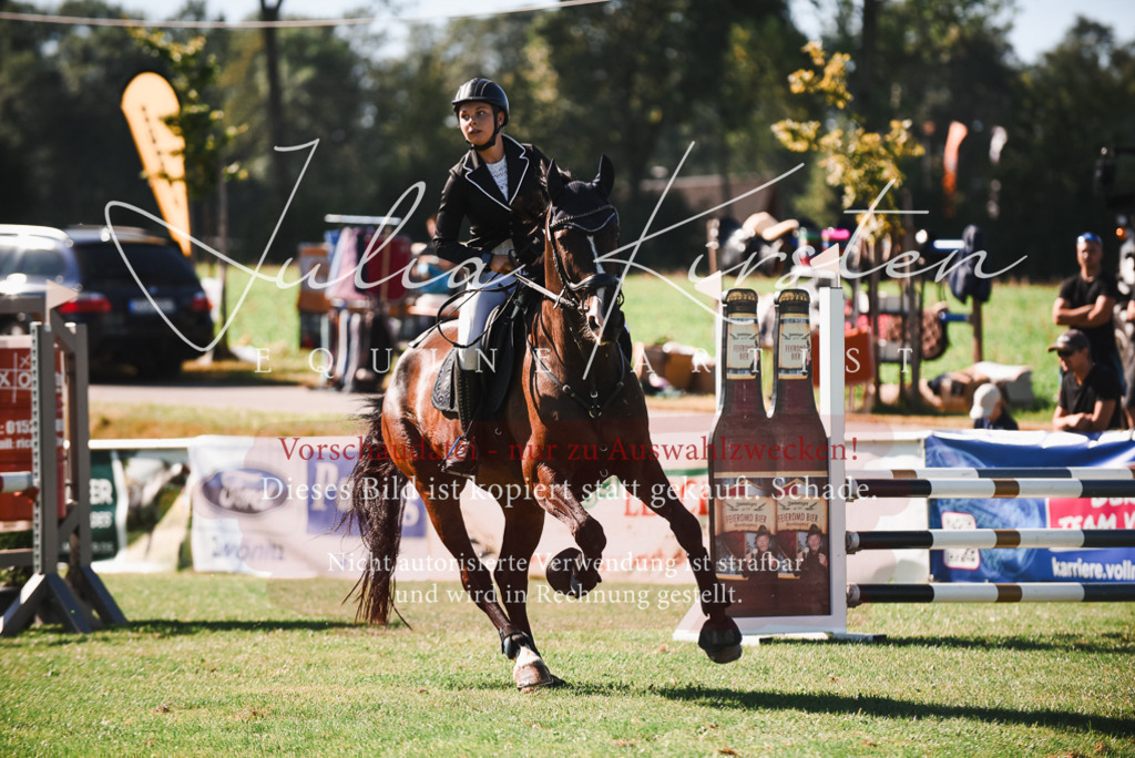 DSC_2513 | Pferde- und Turnierfotografie in Westsachsen. Pferdeportraits, Auftragszeichnungen und intuitive Kunst.