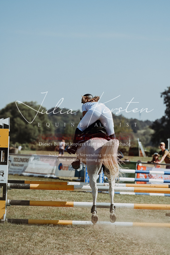 DSC_9614 | Pferde- und Turnierfotografie in Westsachsen. Pferdeportraits, Auftragszeichnungen und intuitive Kunst.