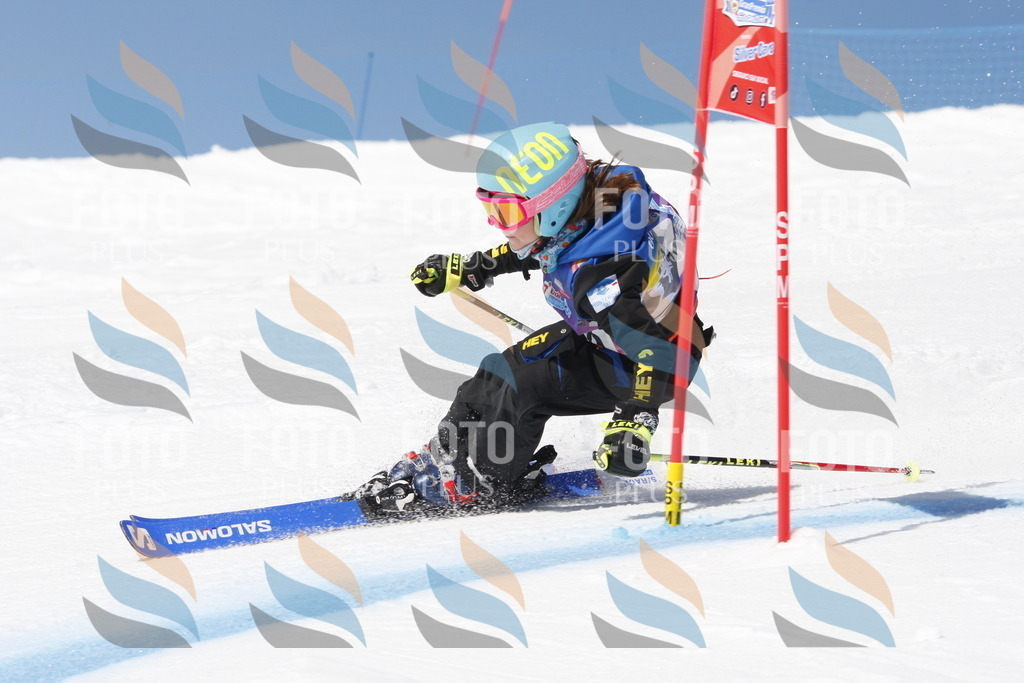 _W1G2083 | holidayphoto