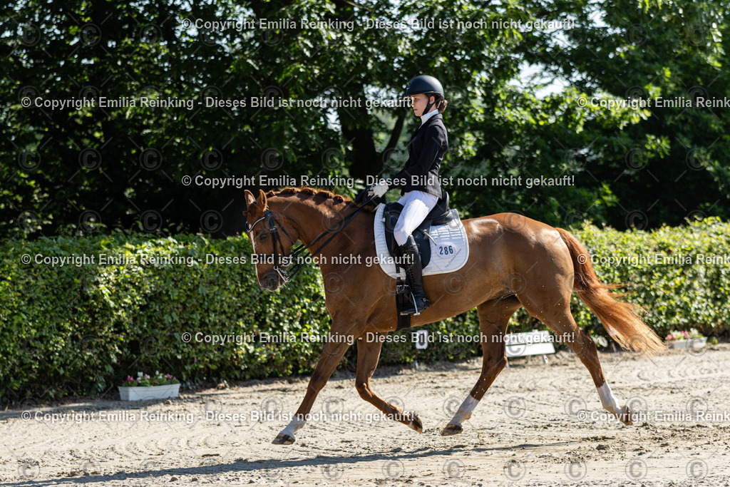 CL5A6891 | Emilia Reinking Fotografie - Realisiert mit Pictrs.com