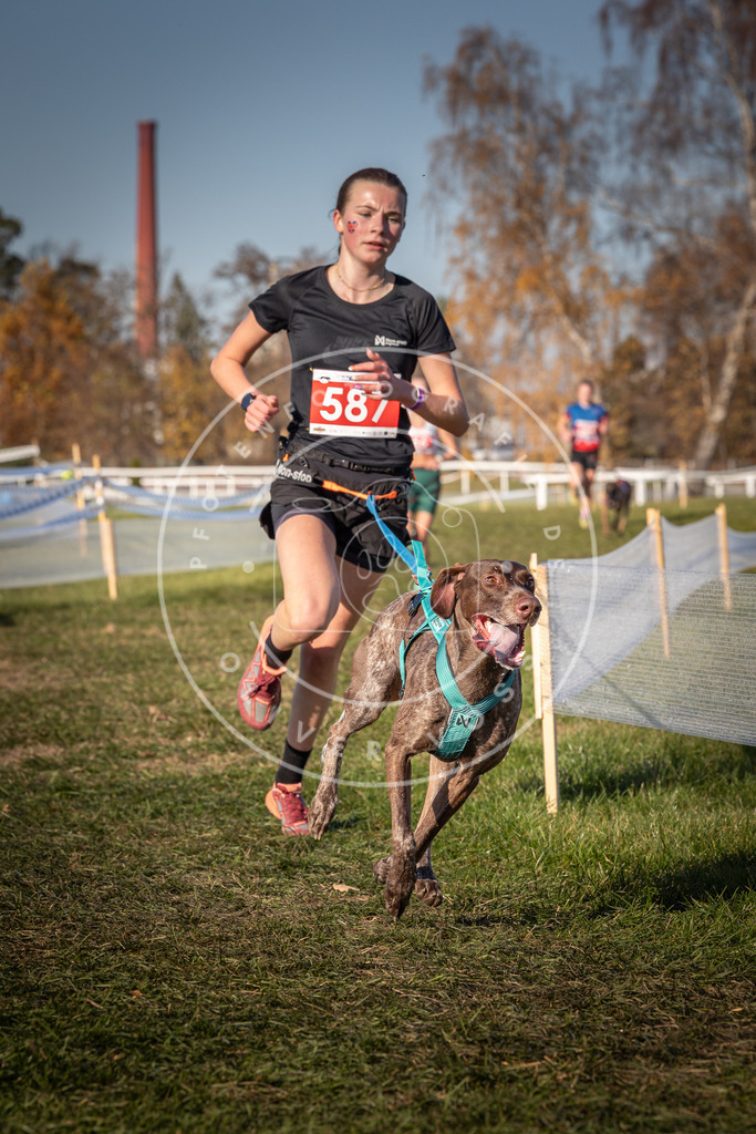 CaniXpix_0L8A8265 | Hundefotografie, Tierfotograf, Pfotenfotografie, Fotoshooting Hund, Hunde Portrait, Hundesport, Hundeportraits, Heideshooting, Hunde, Sportfotograf, Hundefotograf, Turnierhundsport, THS,  - Realisiert mit Pictrs.com