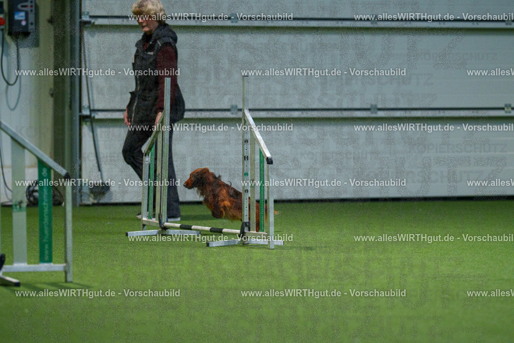 7R506877 | Professionelle Tierfotografie in Mönchengladbach von Daniel Wirth (allesWIRTHgut). Liebevolle & natürliche Bilder von Hunden & Katzen für unvergessliche Erinnerungen.