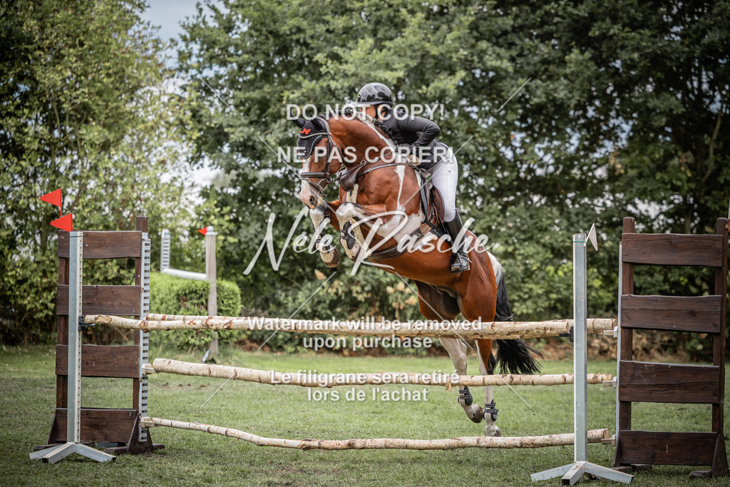nelerasche_AmmDerbyEde_18 | nelerasche