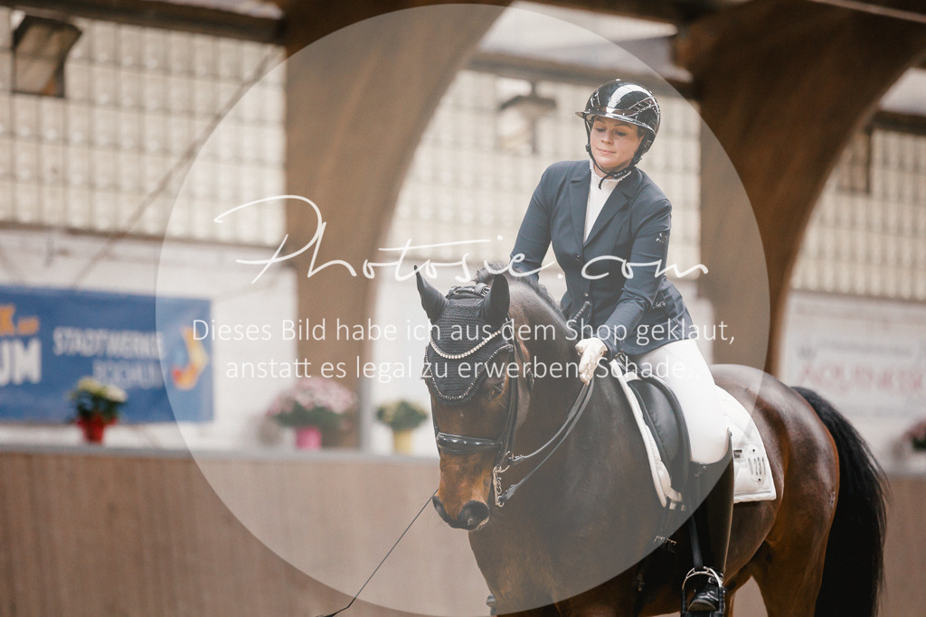 3I6A8321 | Stimmungsvolle Portraits und Reitsportfotografie im Ruhrgebiet und im Münsterland.

Pferdefotografie, Hundefotografie, Tierfotografie, Reportagen, Portraits von Tier und Mensch, Turnierfotografie in Bochum, Recklinghausen, Marl, Haltern am See, Dülmen.. - Realisiert mit Pictrs.com