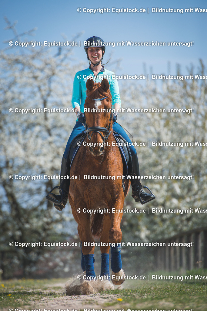 TS_20170407_Dressurpferd_Fr__hling_0002 | Foto: Thomas Hartig