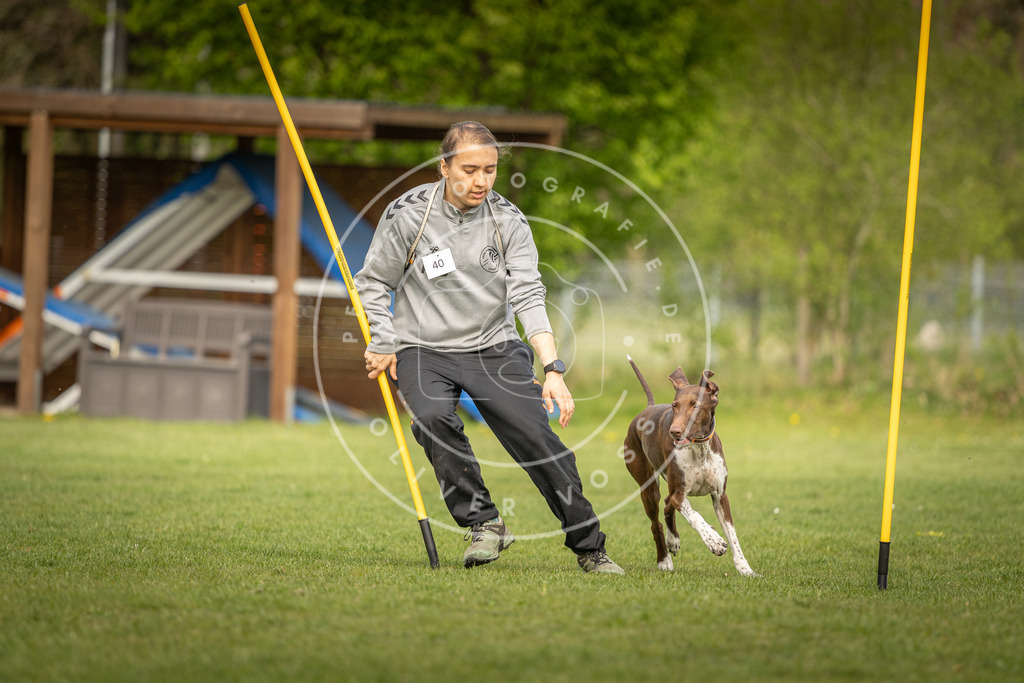 Pfotenfotografie_DV3A5145 | Hundefotografie, Tierfotograf, Pfotenfotografie, Fotoshooting Hund, Hunde Portrait, Hundesport, Hundeportraits, Heideshooting, Hunde, Sportfotograf, Hundefotograf, Turnierhundsport, THS,  - Realisiert mit Pictrs.com