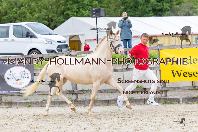 56 (12 von 48) | mandyhollmannphotographie