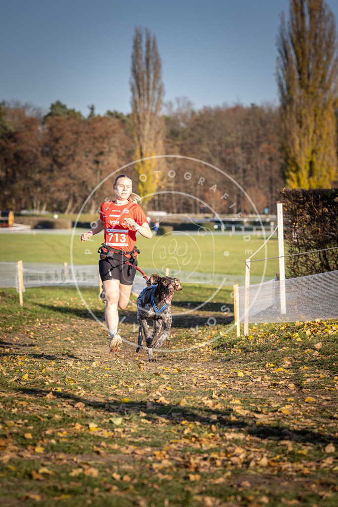 CaniXpix_DV3A1690 | Hundefotografie, Tierfotograf, Pfotenfotografie, Fotoshooting Hund, Hunde Portrait, Hundesport, Hundeportraits, Heideshooting, Hunde, Sportfotograf, Hundefotograf, Turnierhundsport, THS,  - Realisiert mit Pictrs.com