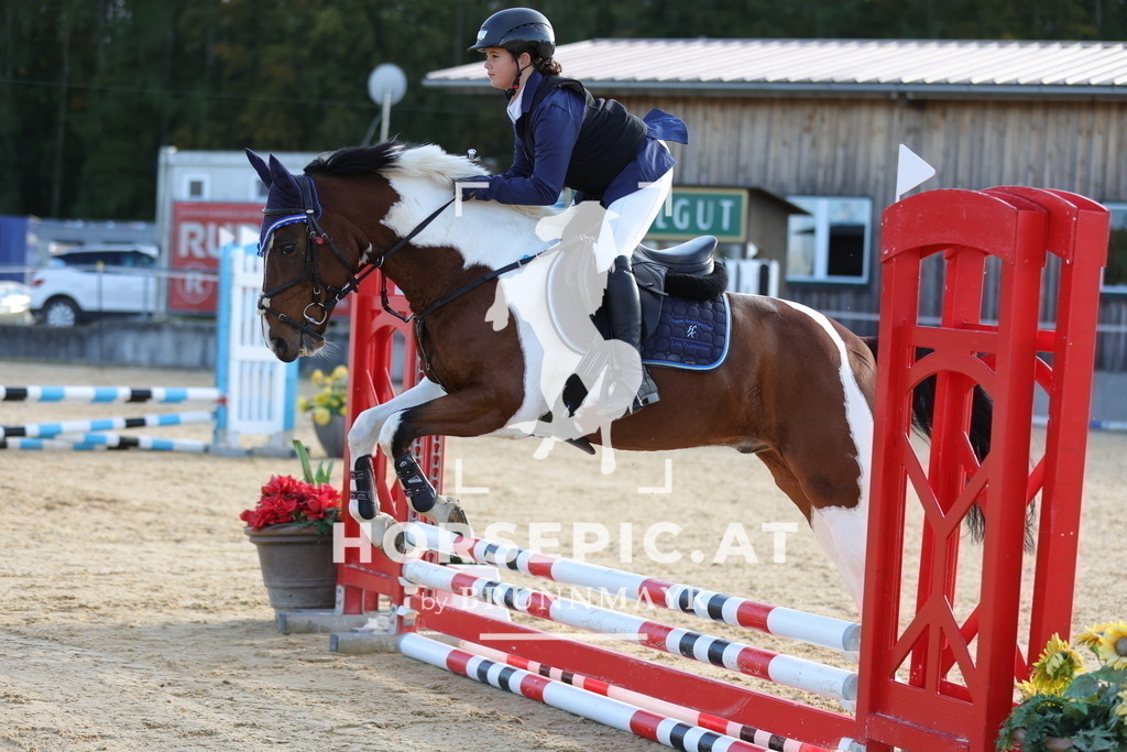 0P6A1740 | Willkommen bei Brunnmayr - Design & Fotografie – Ihrem Spezialisten für Reitturniere und Pferdeveranstaltungen in Oberösterreich, Salzburg und Bayern! Seit über 17 Jahren sind wir leidenschaftlich dabei.