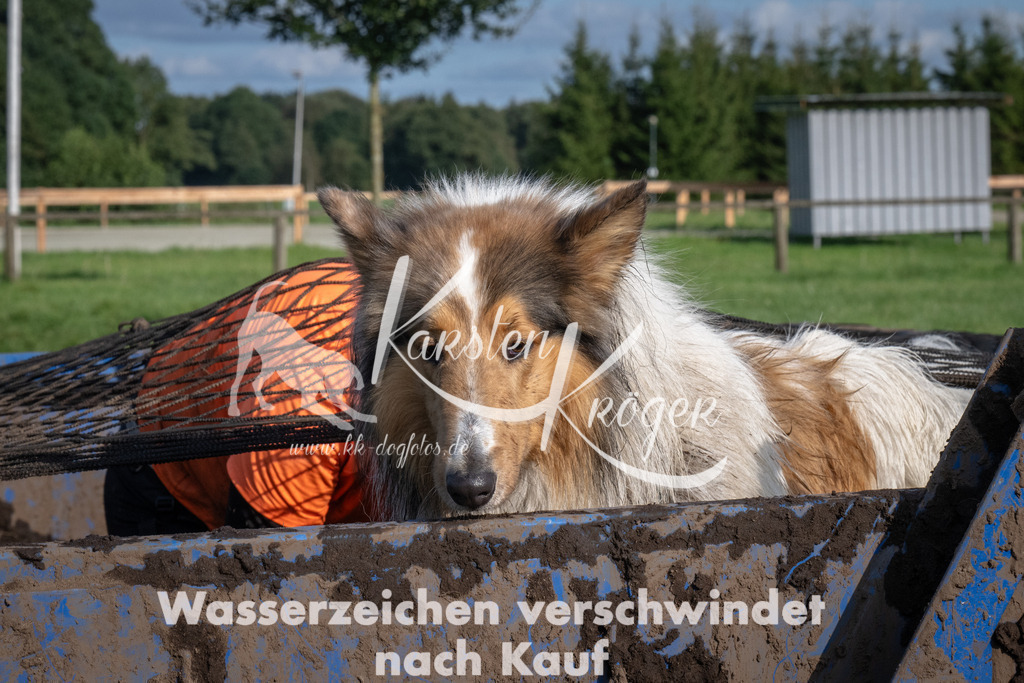 1643_ZZ92920 | kk-dogfotos