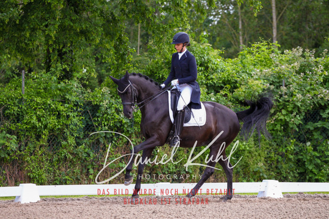 DKP41679 | Turnierfotos kaufen im Webshop von Daniel Kuhl Photography – entdecke professionelle Reitsportfotos aus Turnieren & Events. Hochwertige Turnierbilder online bestellen & sichern. Jetzt Fotos von Reitsportturnieren kaufen!
