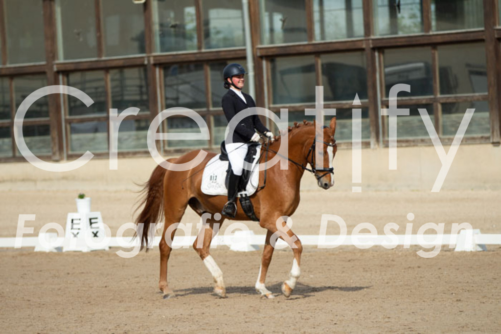 IMG_0710 | Creatify Fotografie