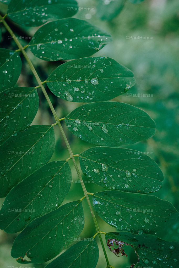 20221020_PaulHense_S0026_DSC00075 | paulhense - Realisiert mit Pictrs.com