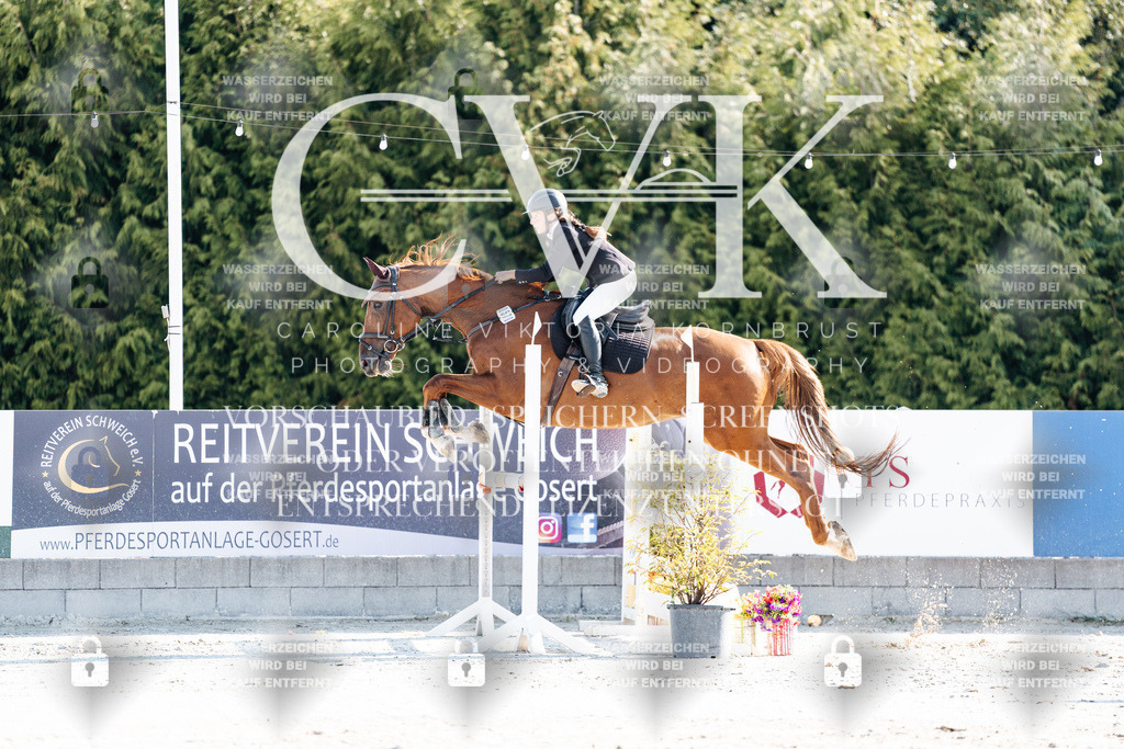 CK901667 | Turnierfotografie Pferdefotografie Trier Rheinland-Pfalz Pferdesport Reitsport Tierfotografie Sportfotografie Pferdevideo Pferdevideografie Equestrianvideography equestrianphotography  - Realisiert mit Pictrs.com