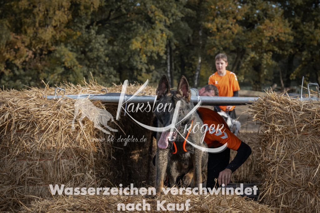 1031_ZZ98520 | kk-dogfotos