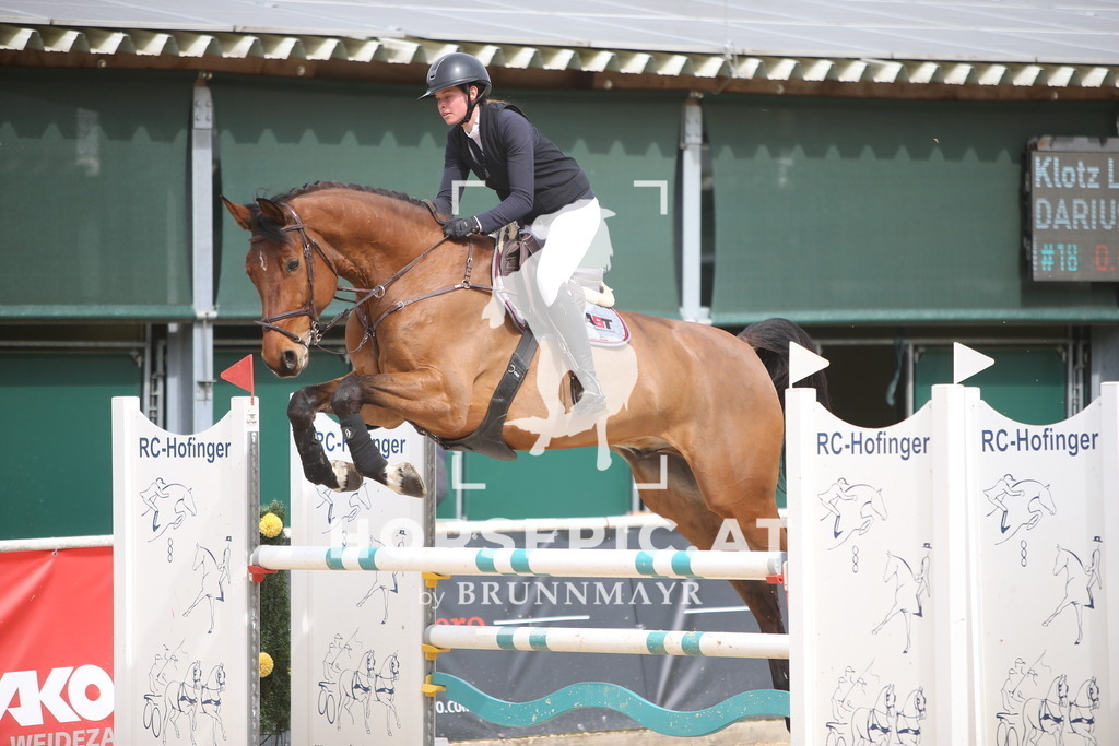 PP017999 | Willkommen bei Brunnmayr - Design & Fotografie – Ihrem Spezialisten für Reitturniere und Pferdeveranstaltungen in Oberösterreich, Salzburg und Bayern! Seit über 17 Jahren sind wir leidenschaftlich dabei.